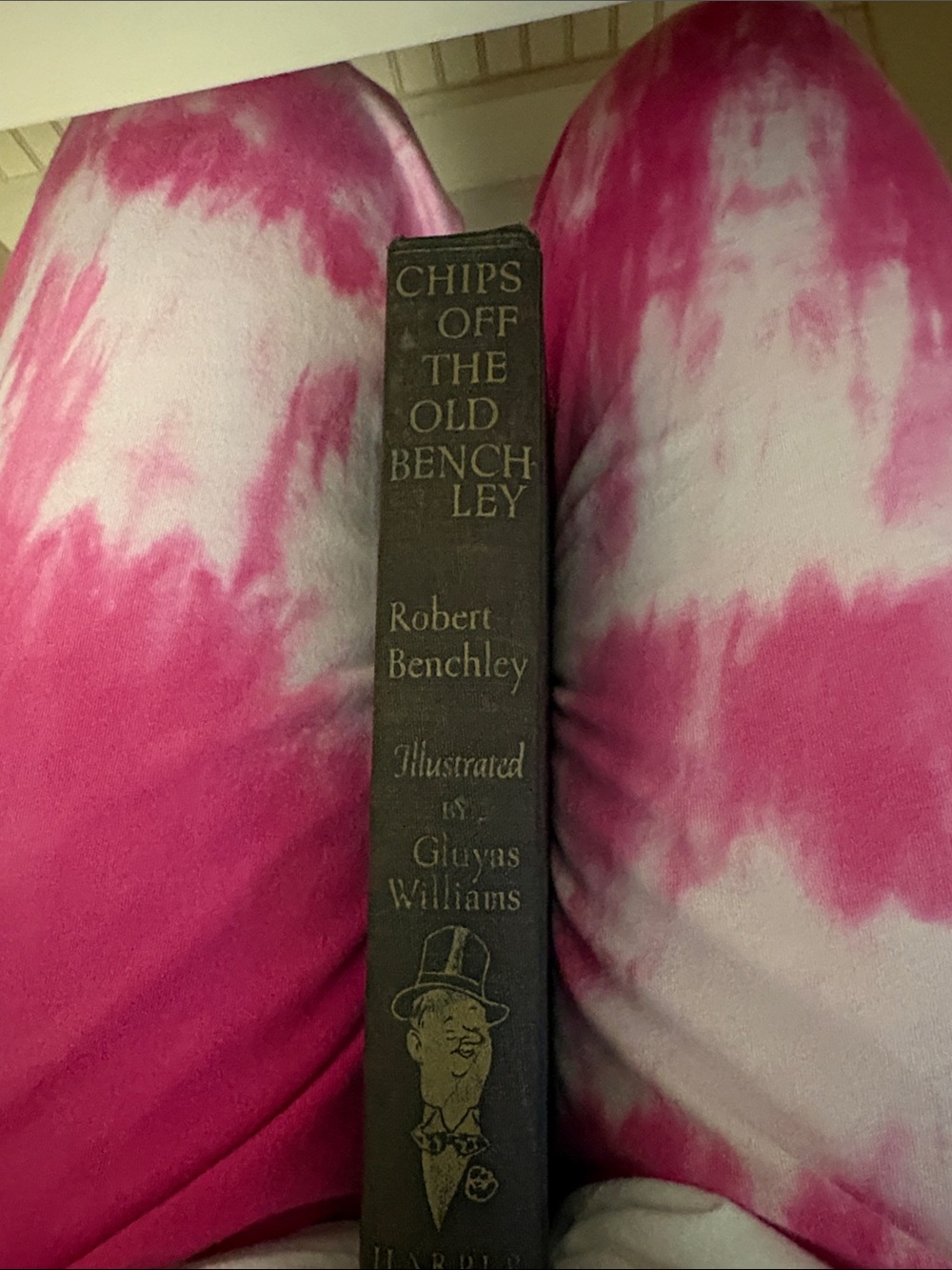 Chips Off the Old Benchley Decorative Book Spine - Brown
